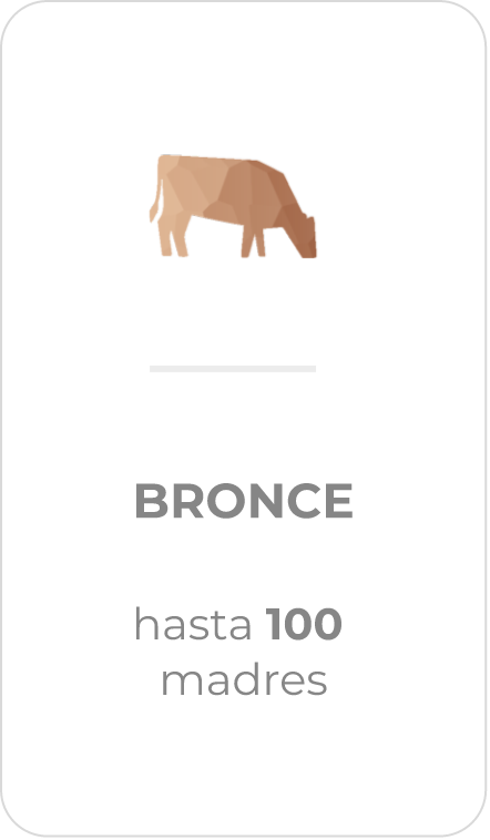 Bronce
