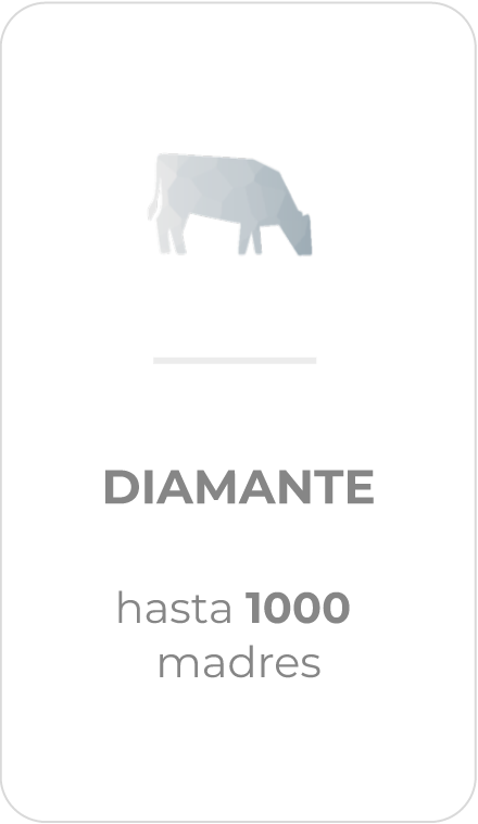 Diamante