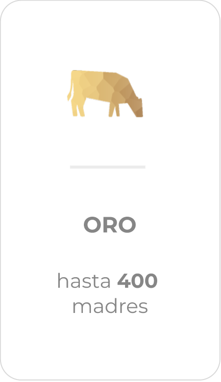 Oro