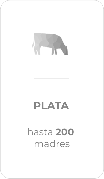 Plata