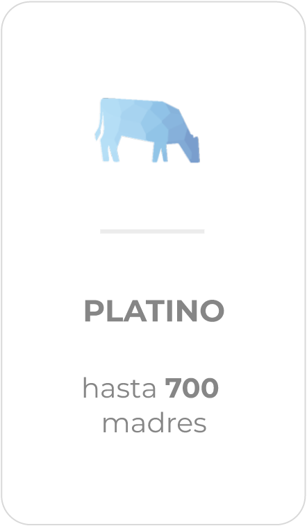 Platino