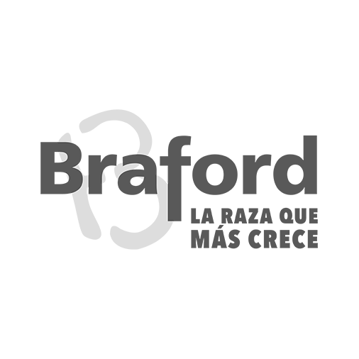BRAFORD