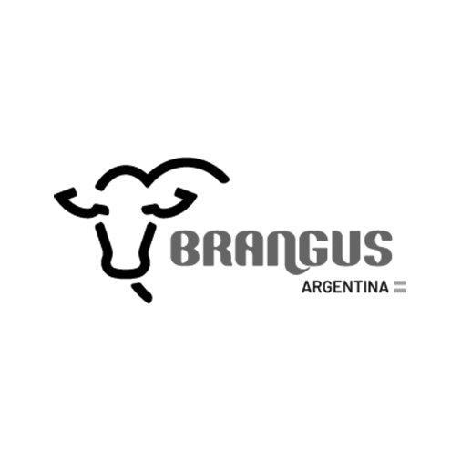 BRANGUS