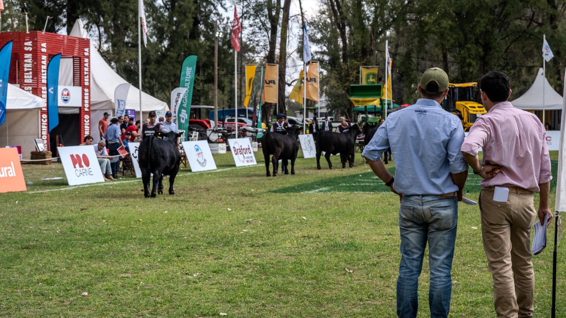 Fondo Catálogo Jura